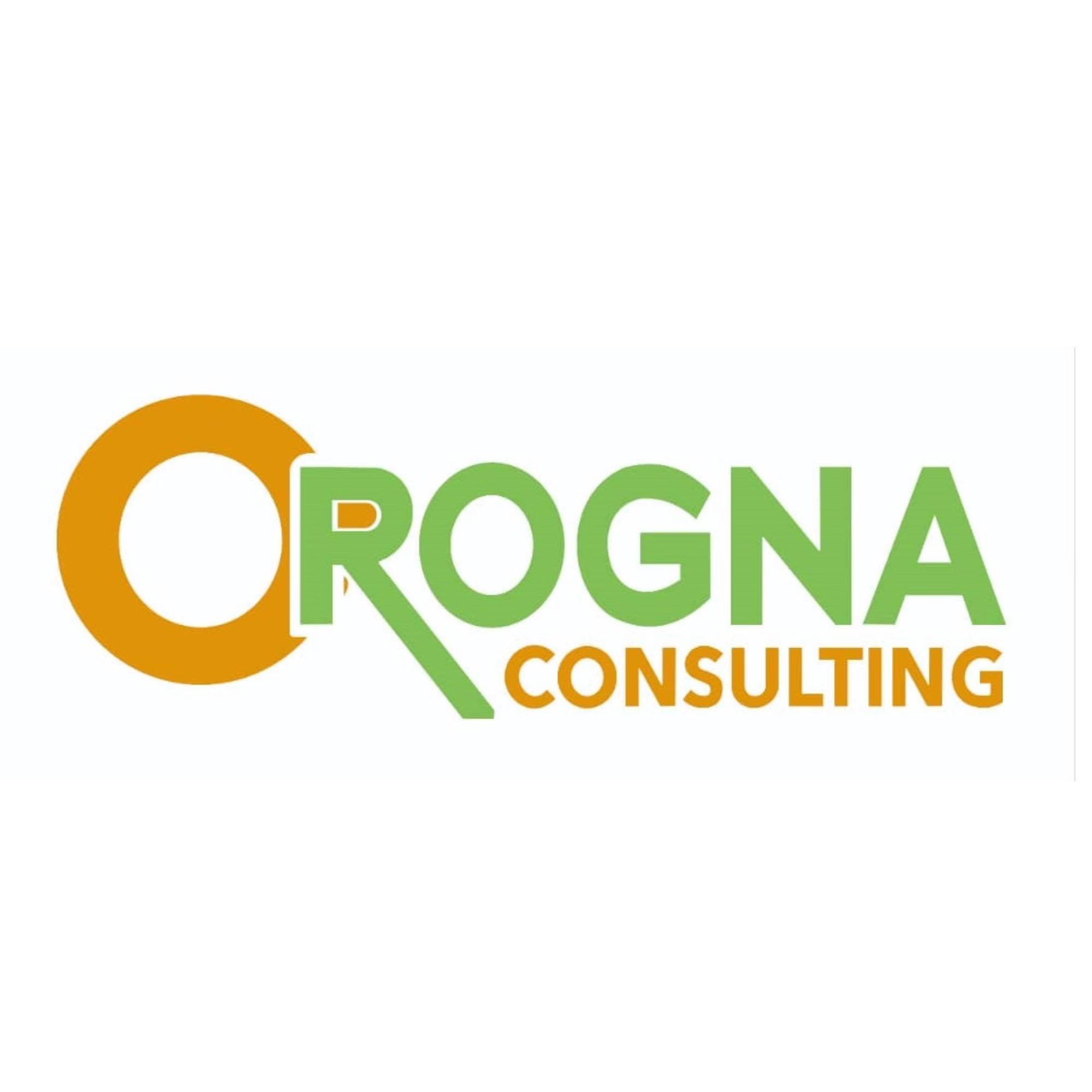 OROGNA Consulting